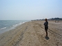 083a rimini